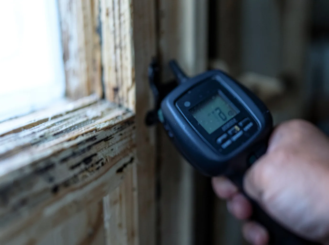 Moisture Inspection And Documentation in Pleasant Hill, IA